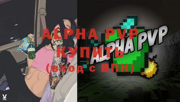 спайс Богданович
