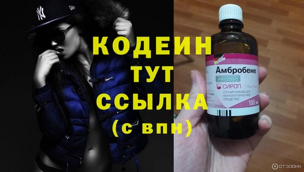 спайс Богданович