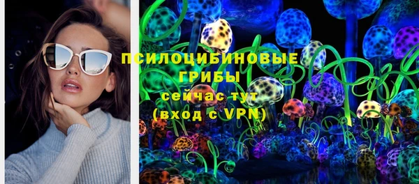 спайс Богданович