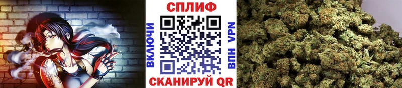 Каннабис сатива  даркнет сайт  Когалым 